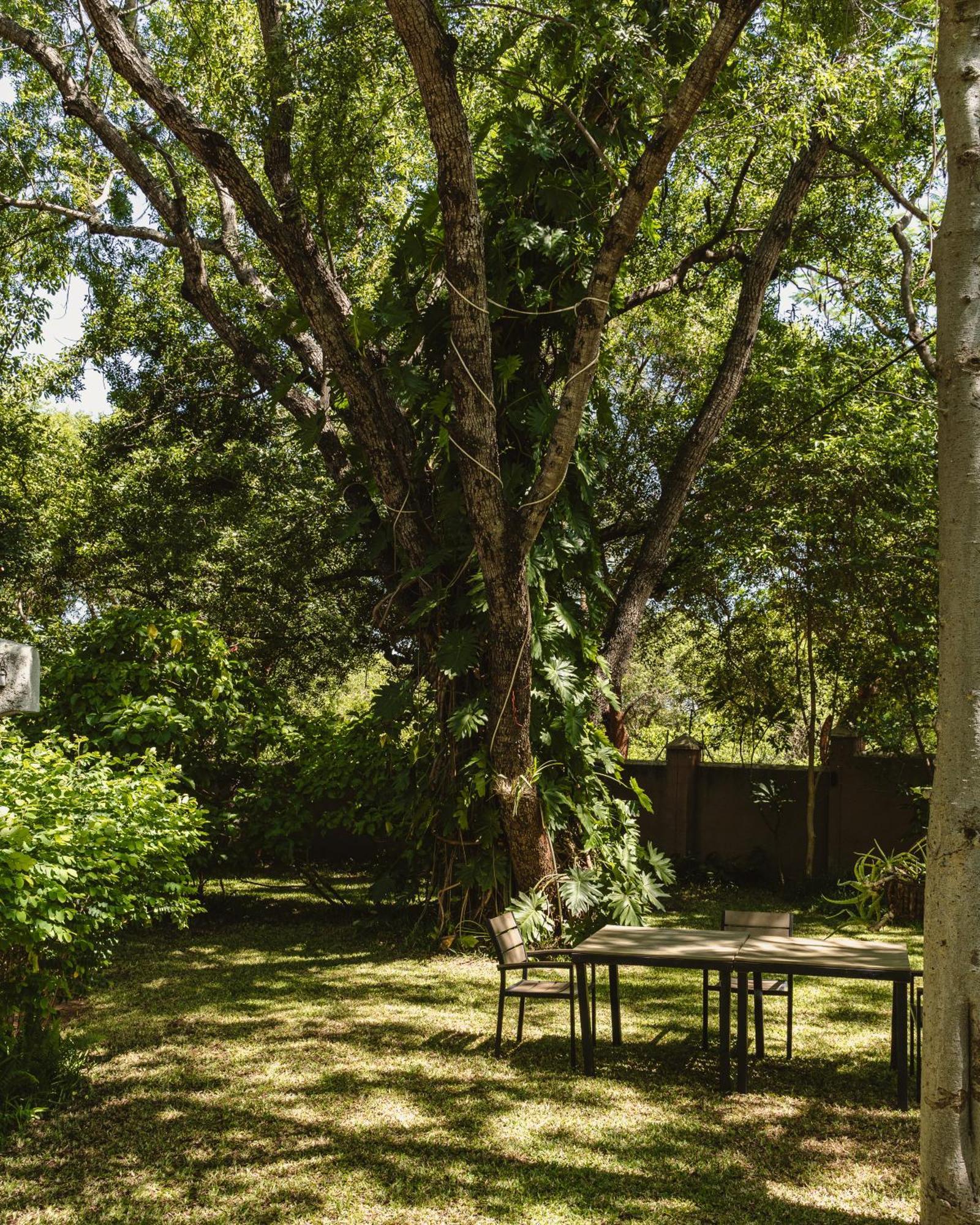 Jacaranda Lodge Водопад Виктория Экстерьер фото