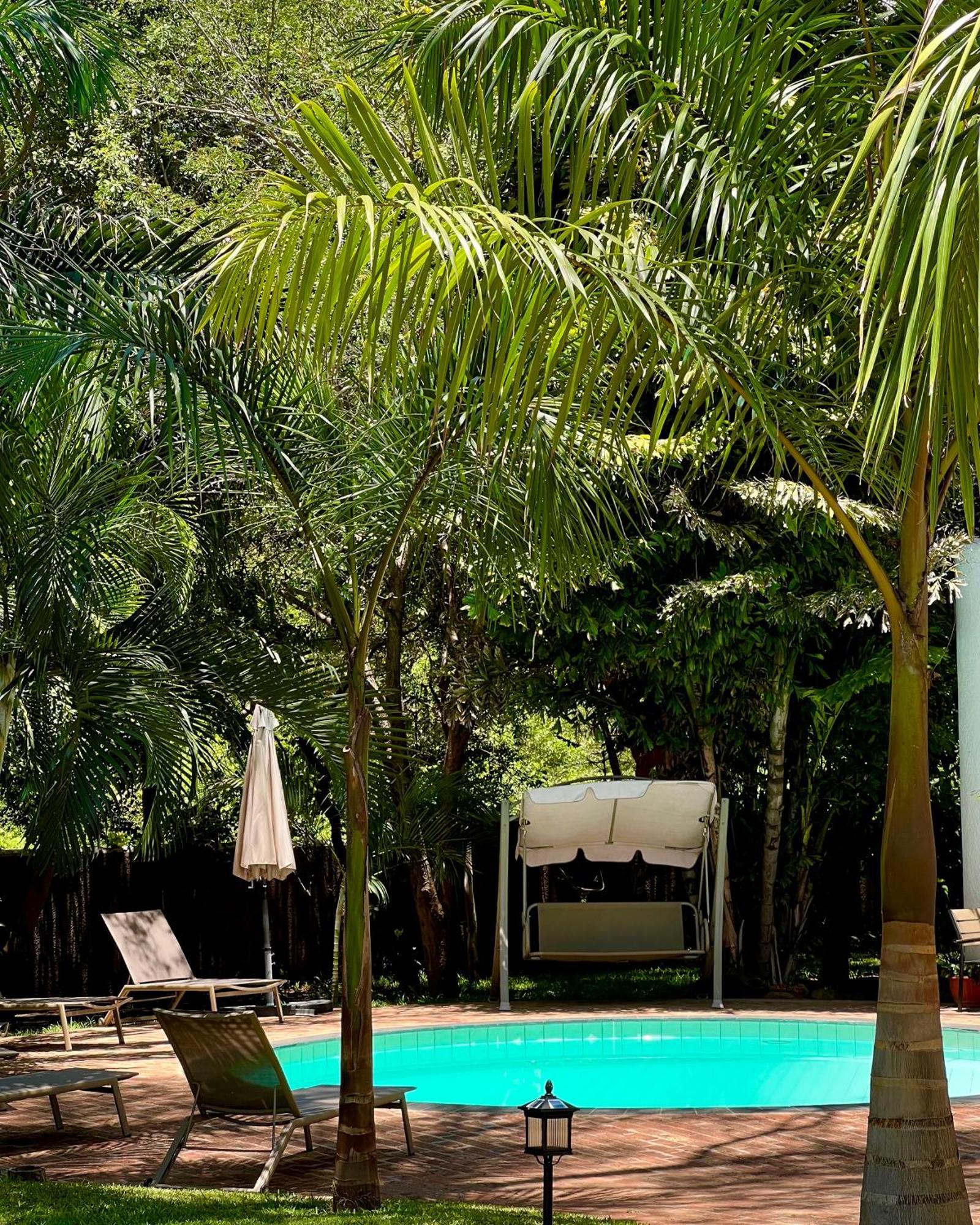 Jacaranda Lodge Водопад Виктория Экстерьер фото